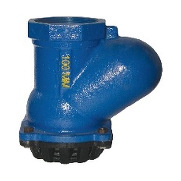 Cast Iron Ball Type Foot Valve – Screwed / Flanged ASA 150#