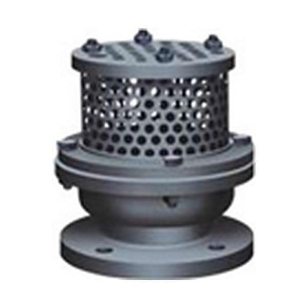 Cast Iron Metallic Foot Valve – Flanged, Heavy Duty