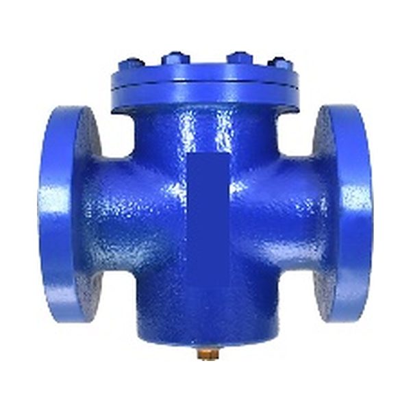 Cast Iron Y Type / T Type Strainer – Flanged, Table "E" Drilled