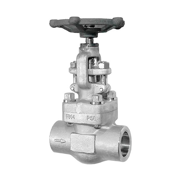 Forged Stainless Steel F-304 / F-316 Globe Valve 800# – Screwed / Socket Weld / Flanged