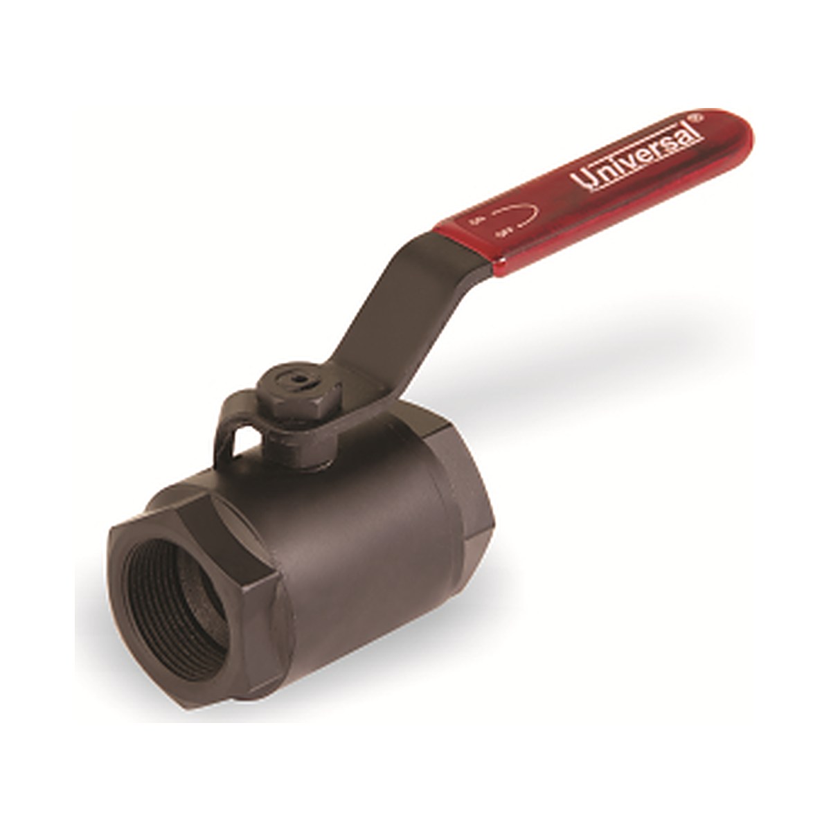 M.S. Two Eye Type 1 Piece Ball Valve – Screwed End